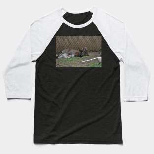 Wallaby and Joey Baseball T-Shirt